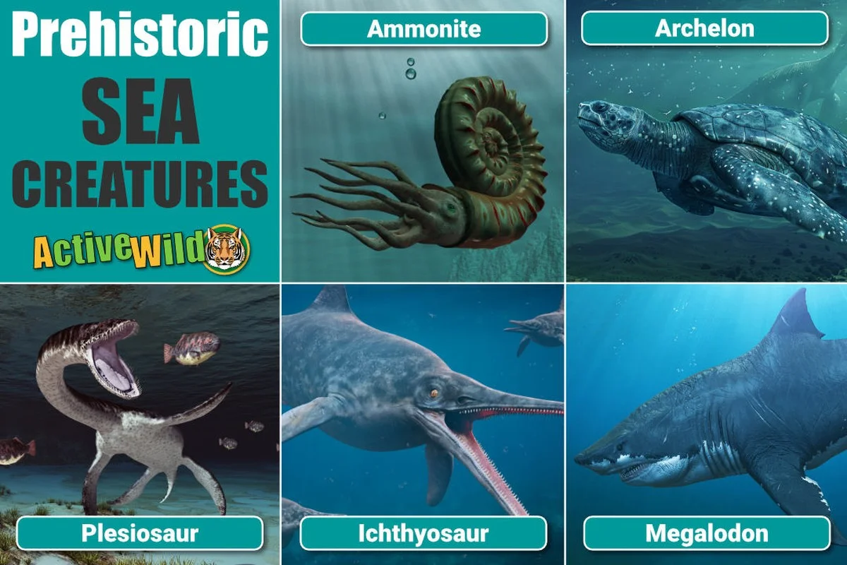 De schelp die bijna 500 jaar stil leefde: zo kraakten wetenschappers de leeftijd van Ming - image 2