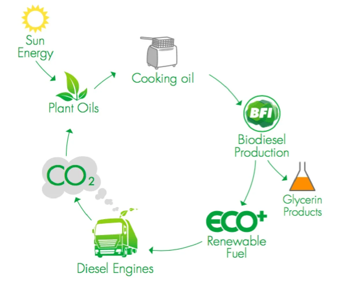 De Amerikaanse Doorbraak: Hoe Gemodificeerde Gist Suiker Omzet In Een Miljardenmarkt - image 2