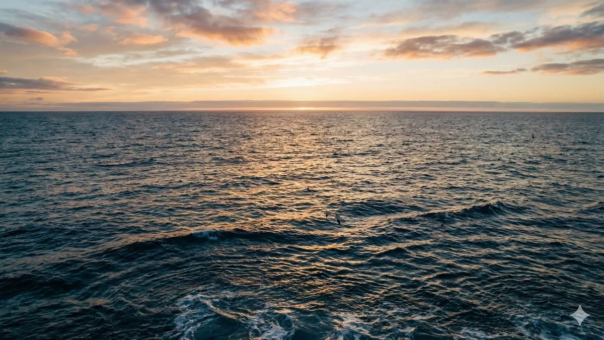 Het enige zeewater ter wereld dat geen kust raakt, produceert gigantische hoeveelheden zuurstof