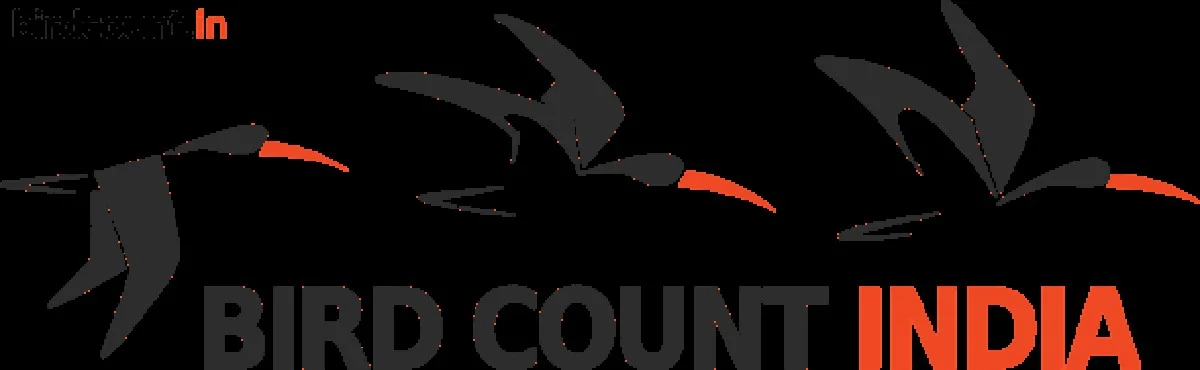 De verrassende 133 vogelsoorten die wijzen op de waterkwaliteit van Burhanpur - image 2