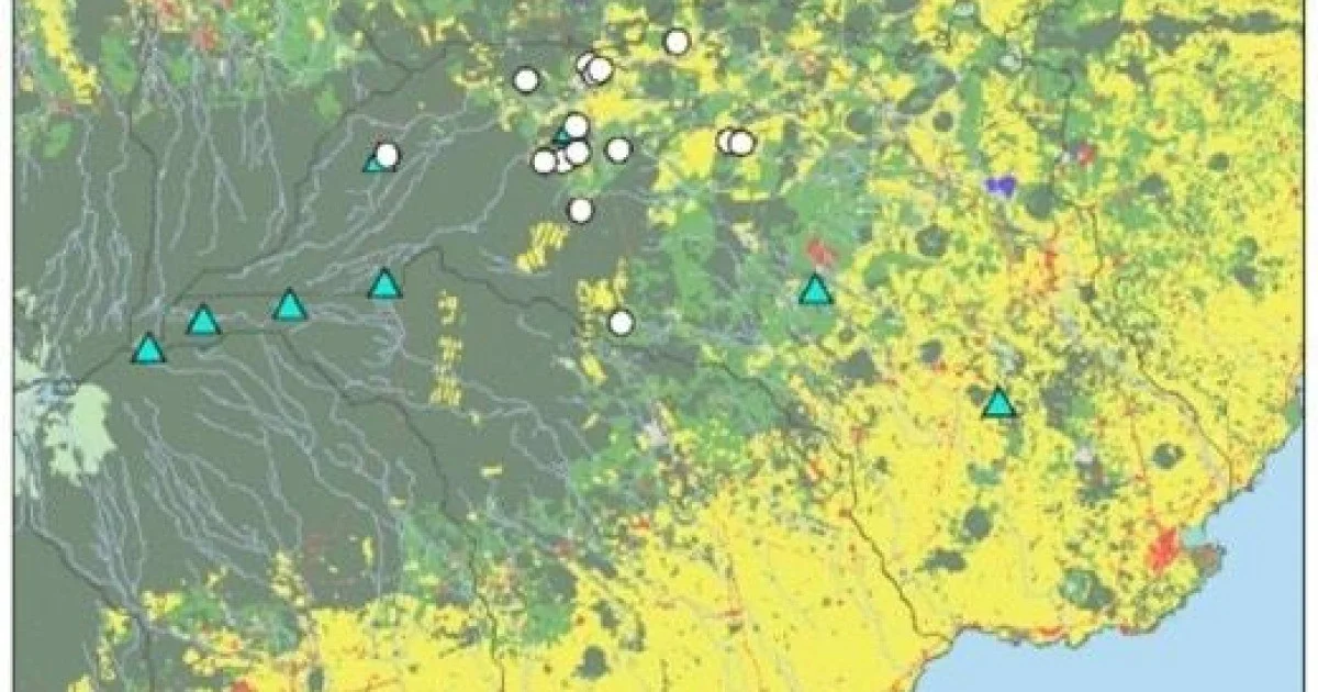 De verborgen wetenschap achter Samdasoo: waarom regenwater van 31 jaar oud is