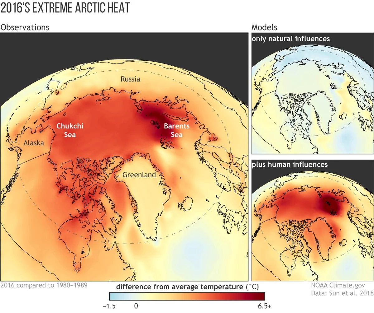 wetenschapisbez-extra-1.webp Wetenschap is bezorgd: De Noordpool kende het warmste jaar ooit gemeten - image 1