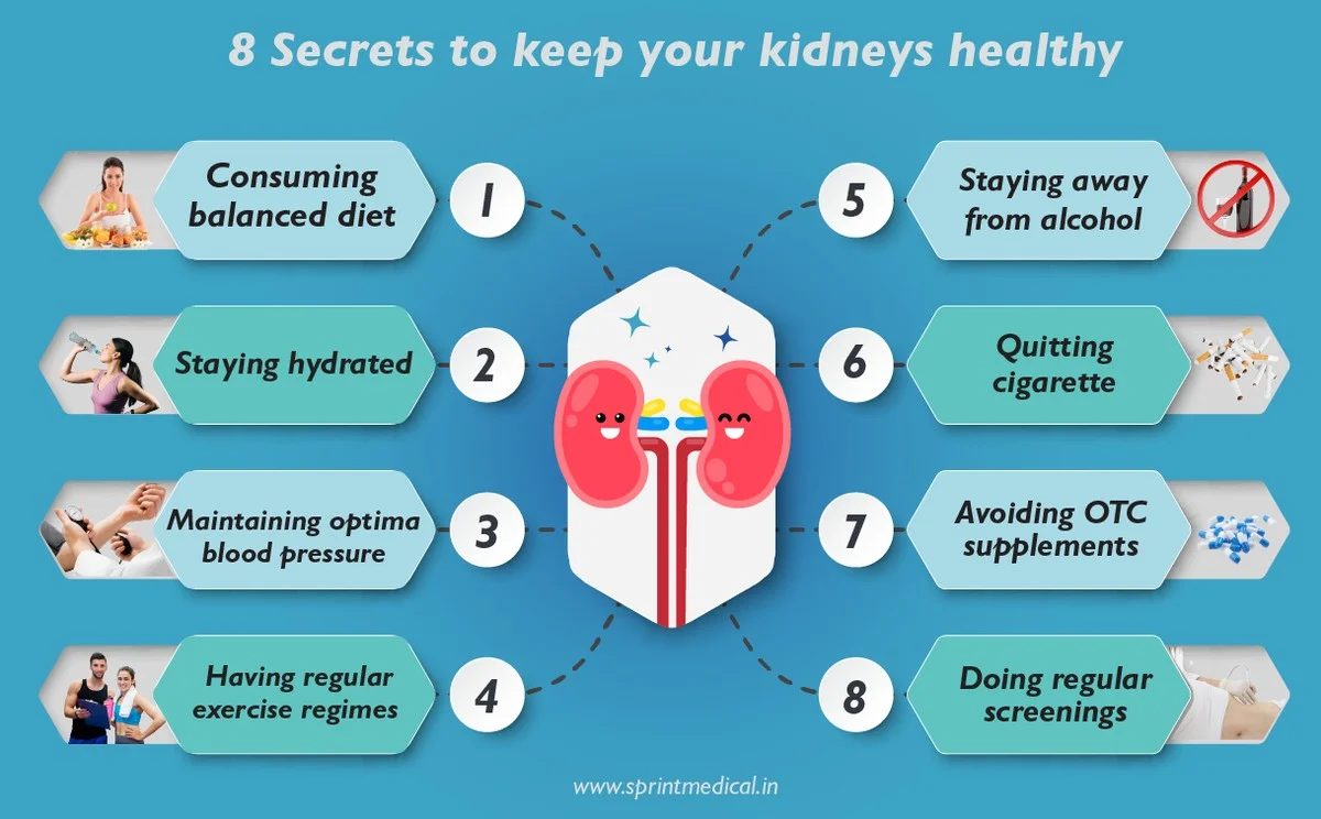 De verrassende reden waarom die vage pijn in je rug wijst op je nieren - image 2