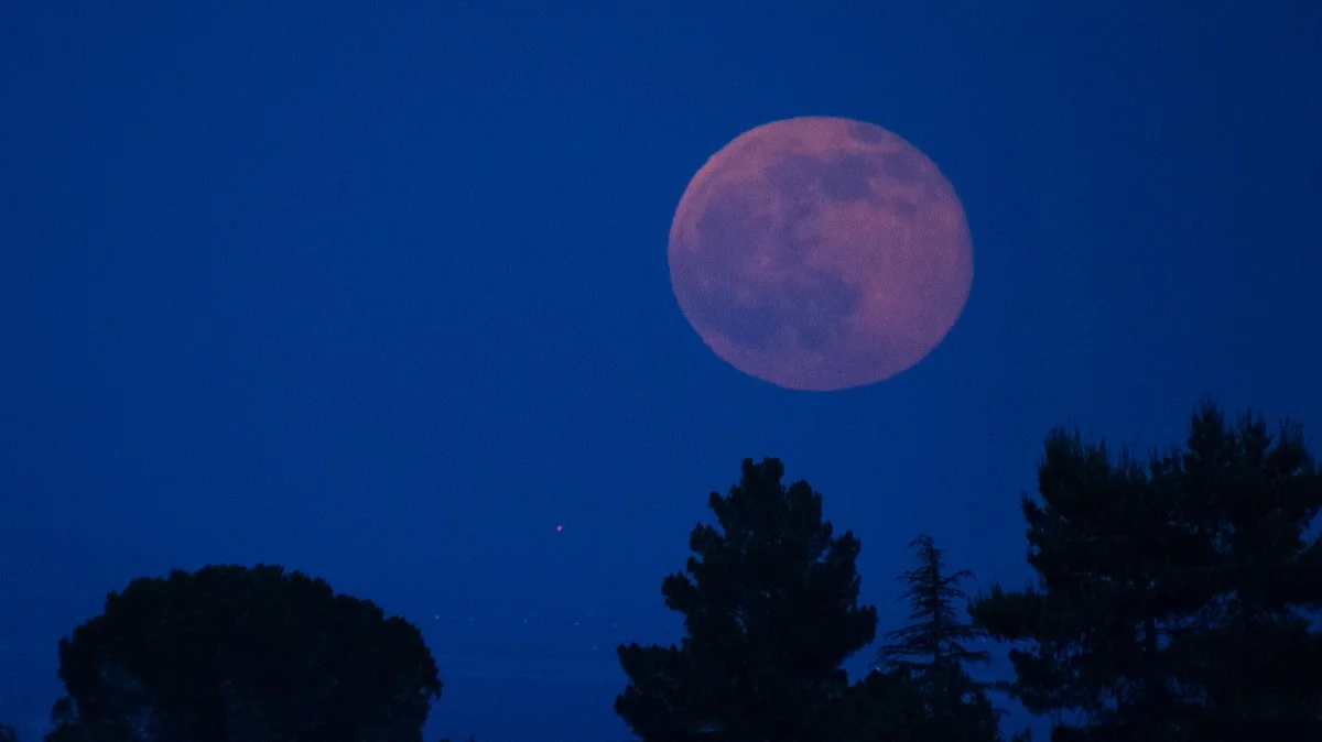 Waarom 2026 een uitzonderlijk jaar wordt voor maanliefhebbers: de kalender voor supermaan en blauwe maan