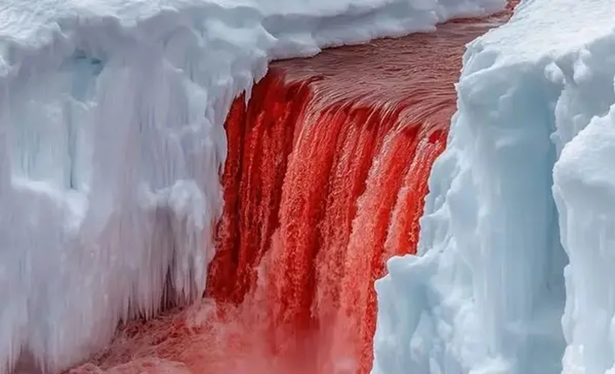 Waarom de Antarctische 'Bloedwatervallen' al een eeuw wetenschappers fascineren