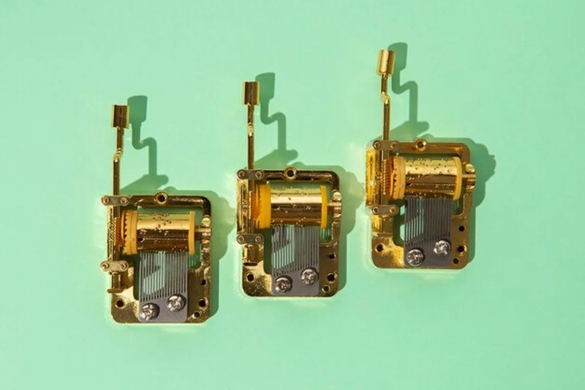 Radiochip volgt Aziatische hoornaars naar hun nesten - image 2