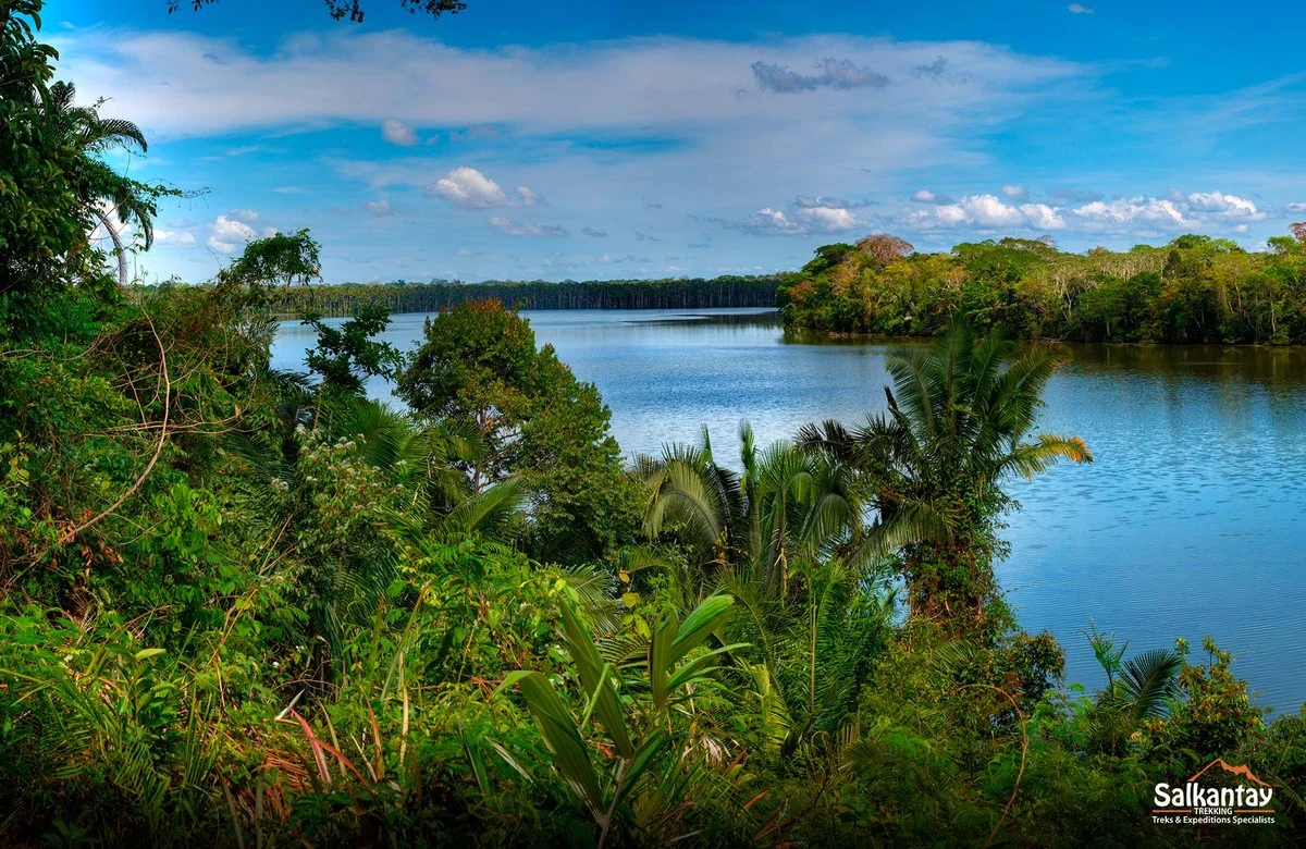 Vier bizarre nieuwe soorten ontdekt in de beschermde Peruaanse natuurgebieden - image 1