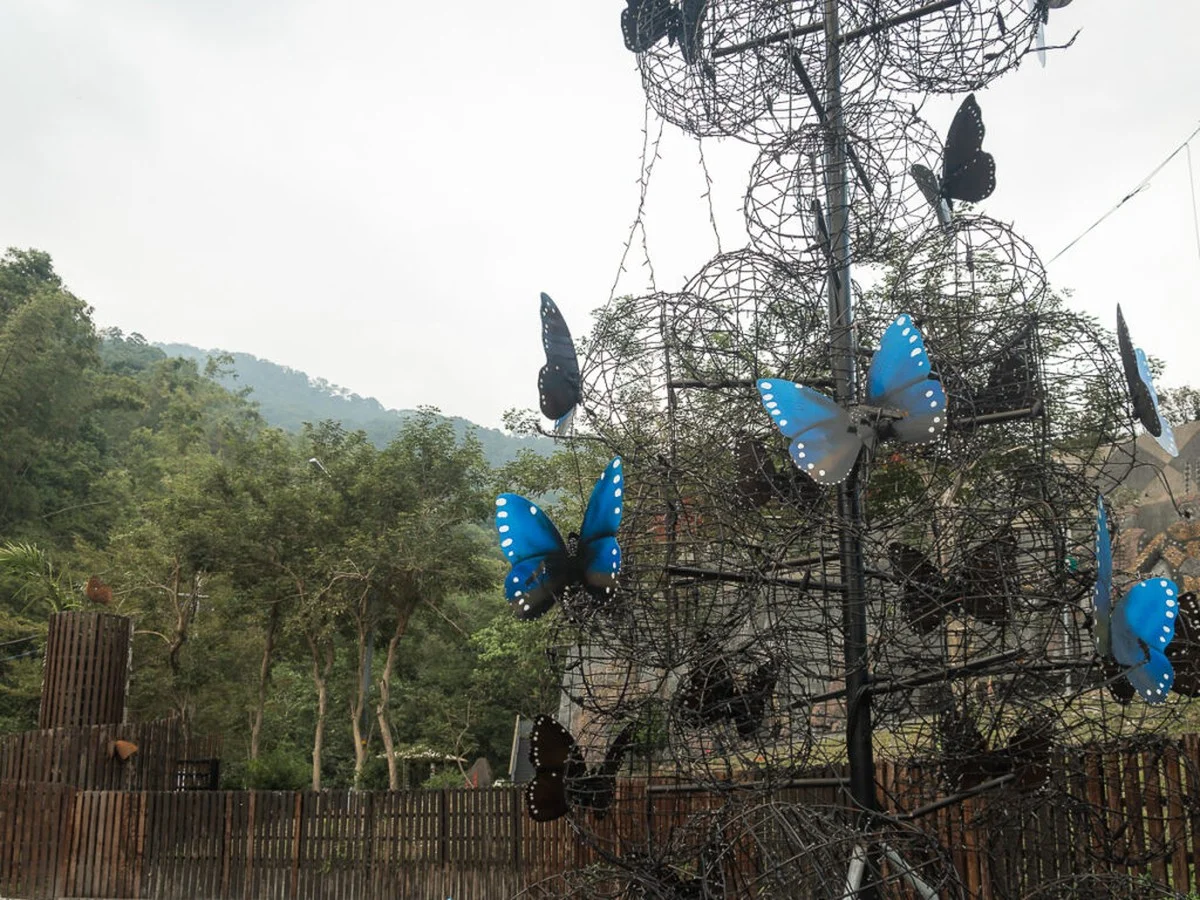 wanneerexpertsv-extra-2.webp Wanneer experts vlinders markeren in de vallei van Maolin - image 2