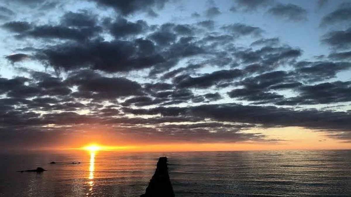 De topvogellocaties van Zweden 2025: Waarom je favoriete plek plotseling is gedaald