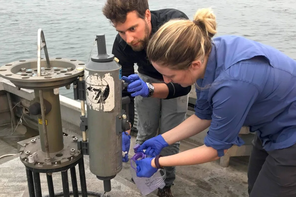 Het geheim van de Donau: deze zeldzame vissen zijn terug dankzij een onverwachte DNA-methode - image 2