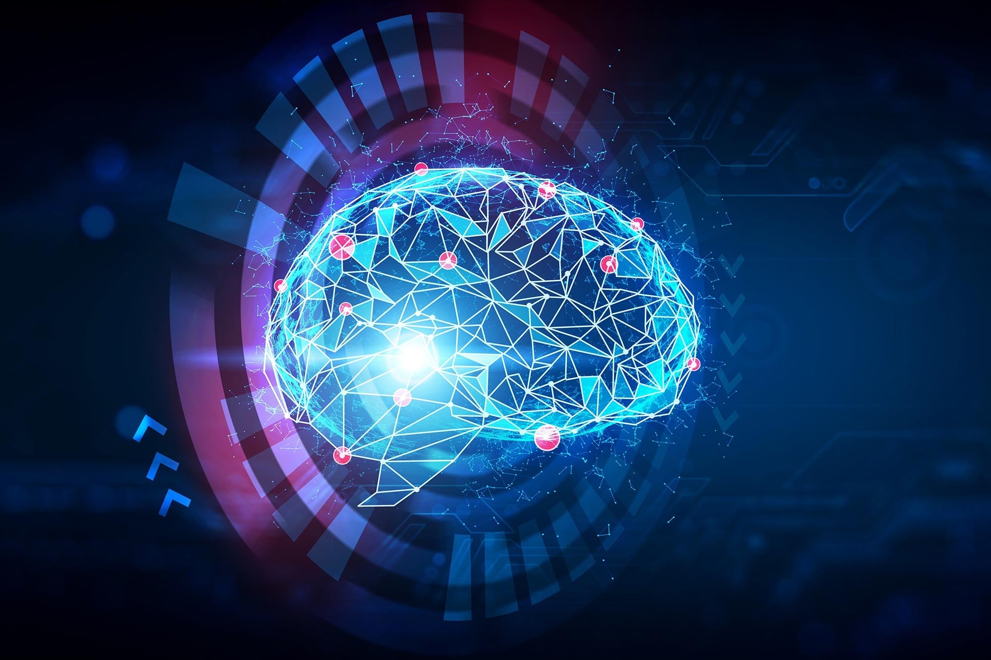 Hersenachtige AI-architecturen versnellen visueel leren