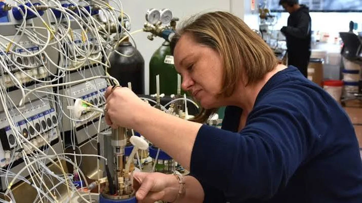 De Amerikaanse Doorbraak: Hoe Gemodificeerde Gist Suiker Omzet In Een Miljardenmarkt