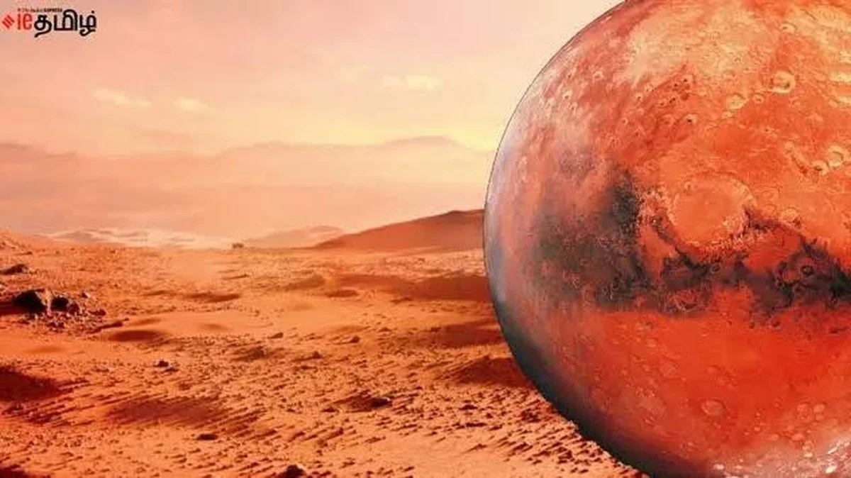 Wetenschappers vonden op Mars-gelijkende rotsen in Algerije