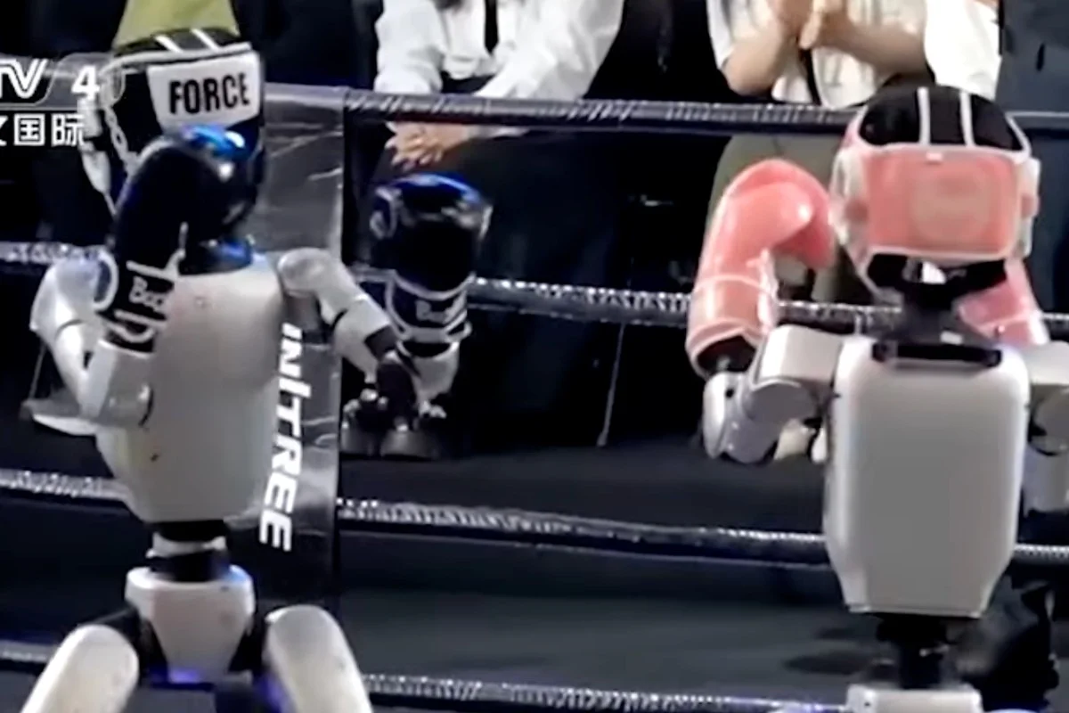 Chinese robot accidentally kicks trainer in the groin during training, and even Elon Musk is amused - image 1