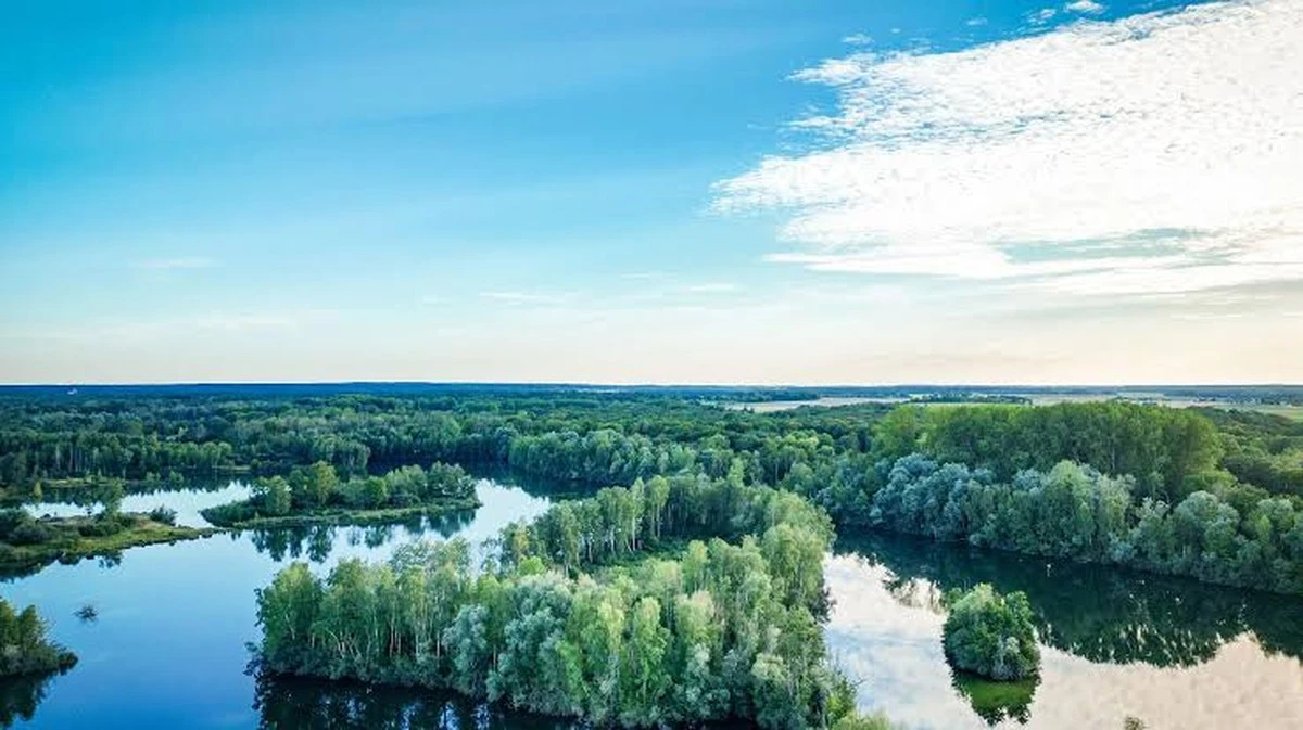 Ontdek de 17 verborgen schuilplaatsen van de Seine-et-Marne wetlands