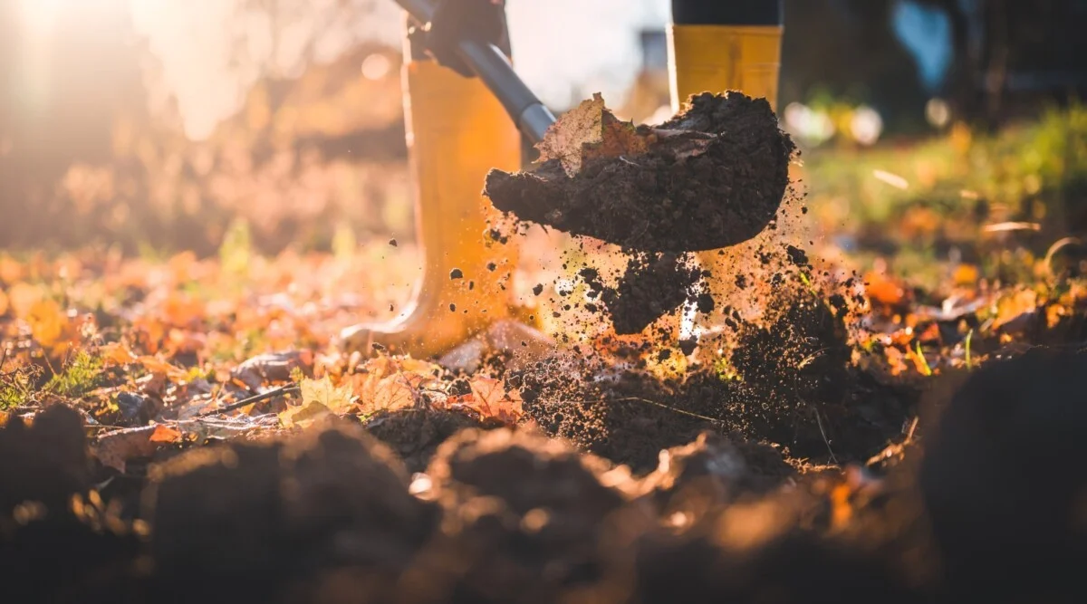De ene herfststap die de zaaiweerstand van je moestuin halverteert (en veel tuiniers negeren) - image 2