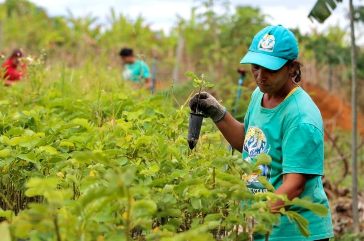 Hoe een kleine technologische sprong de Braziliaanse landbouw radicaal verandert - image 2