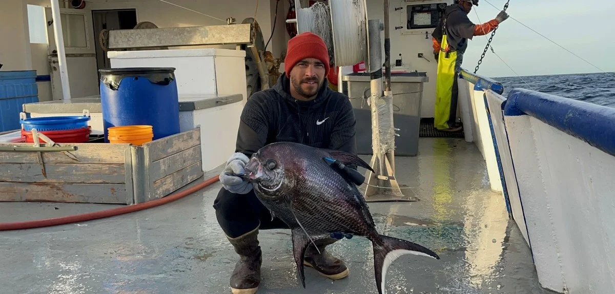 Die ene diepzeevis die de hele voedselketen verbindt