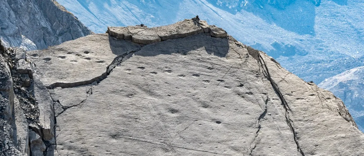 Deze wandeling in het Stelvio Park onthult 210 miljoen jaar oude dinosaurussporen, dankzij het smeltende ijs - image 1