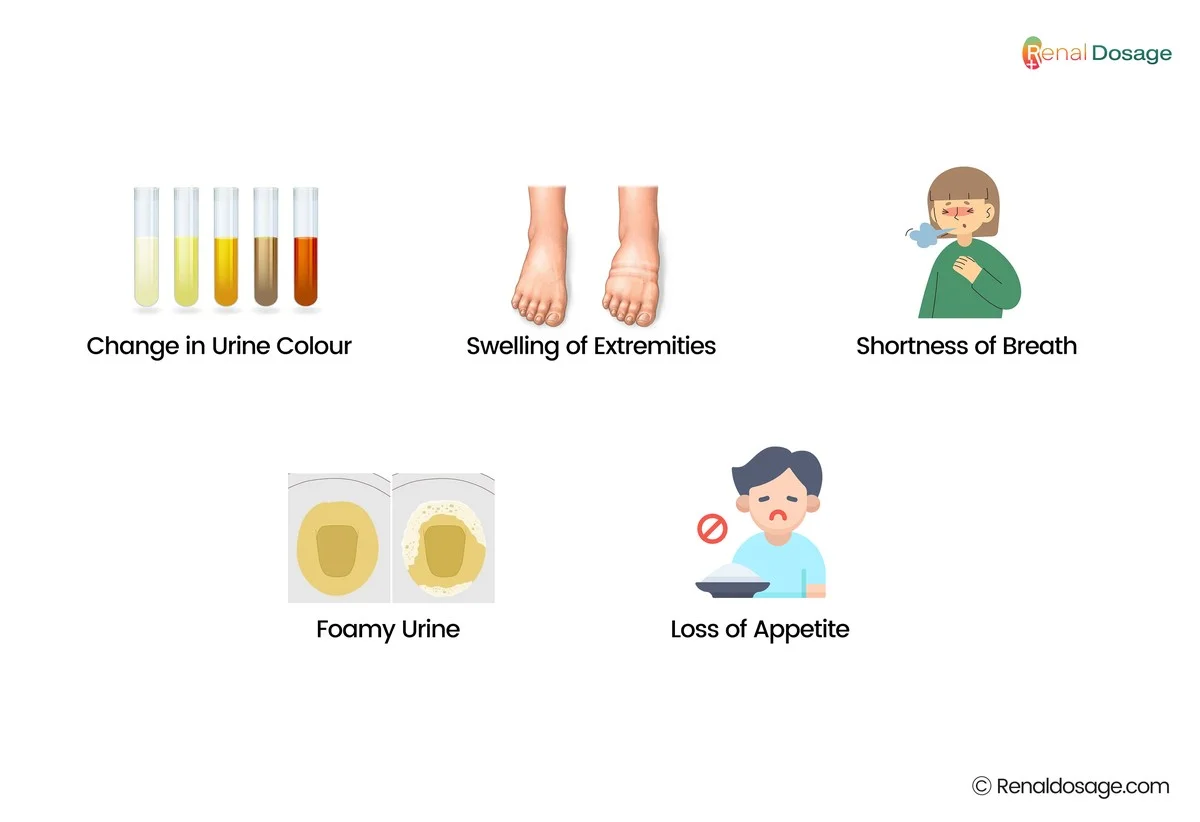 Let op deze 5 subtiele veranderingen in je urine: ze kunnen wijzen op nierproblemen - image 2