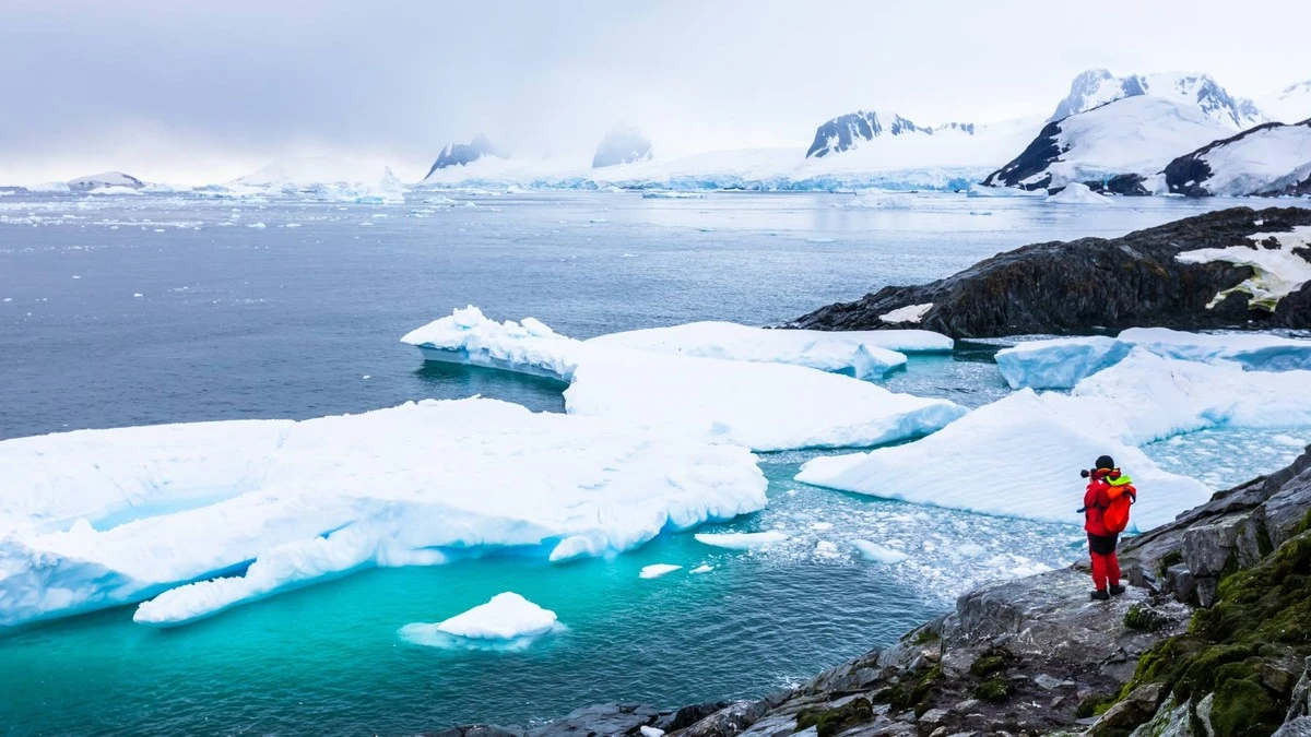 Onbekende zeedieren ontdekt: wat de Antarctische bodem nu al onthult