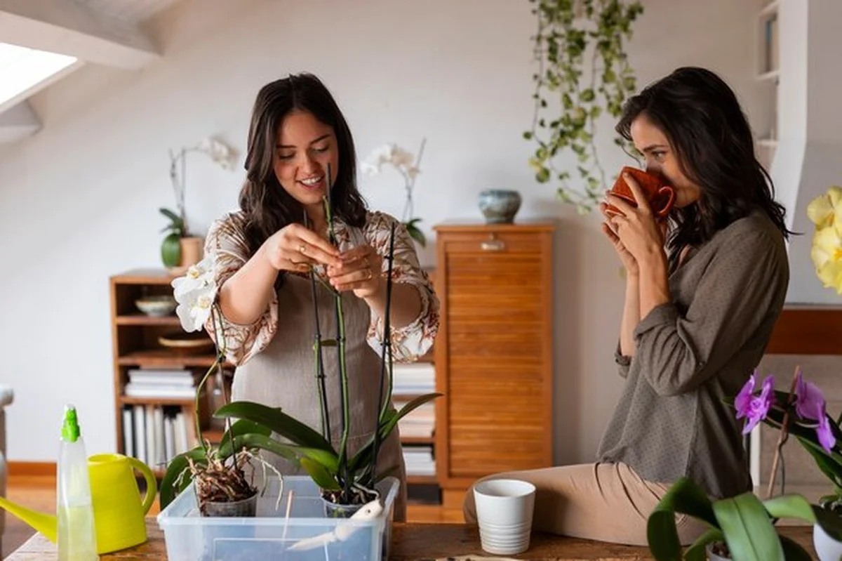 Stop met wachten: dit Zweedse 
