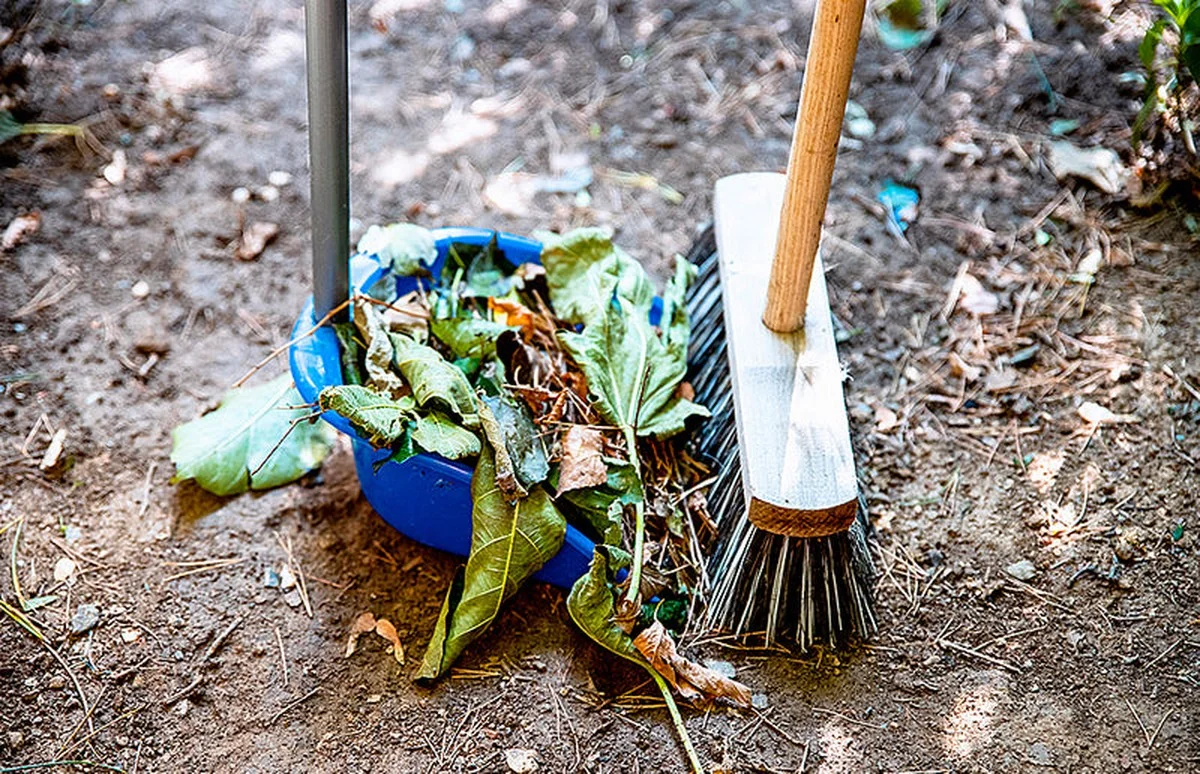 De ene herfststap die de zaaiweerstand van je moestuin halverteert (en veel tuiniers negeren) - image 1