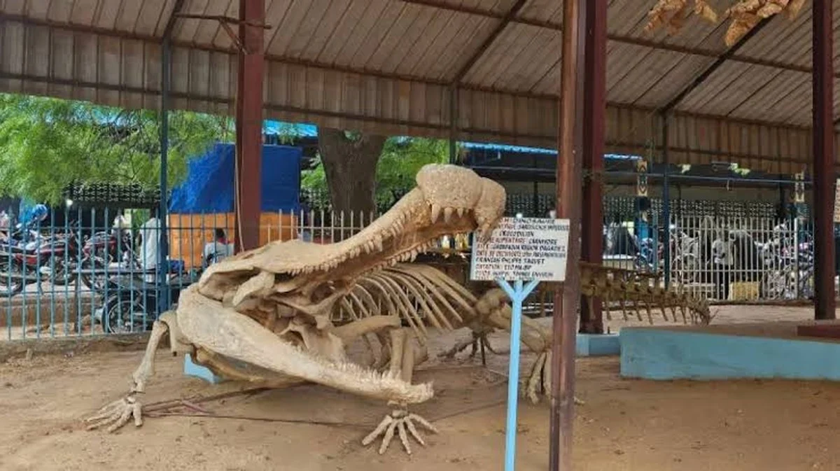 De verborgen dinosaurusschatten van de Niger: hoe een kleine groep locals de botten van 100 miljoen jaar beschermt