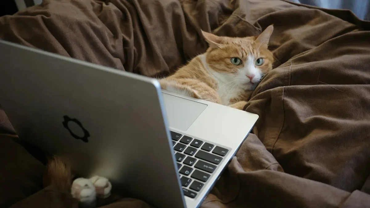 Het volk is woedend: Firefox wordt gedwongen AI-functies te verwijderen