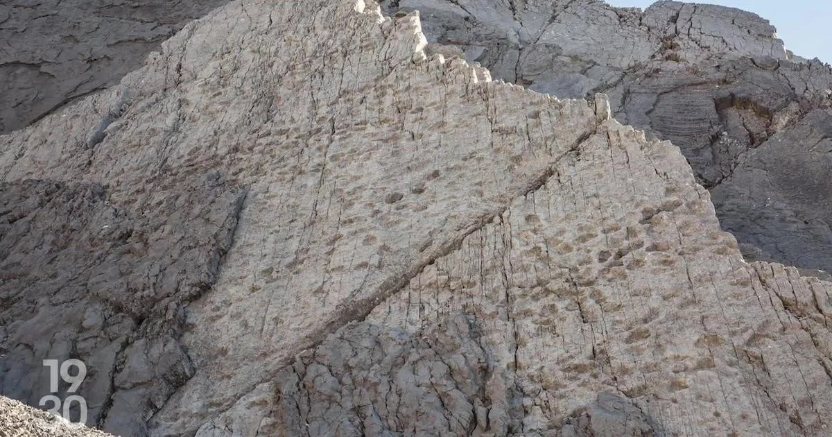 Waarom je die stapel ijs in de Alpen moet negeren: sporen van 200 miljoen jaar oud gedrag