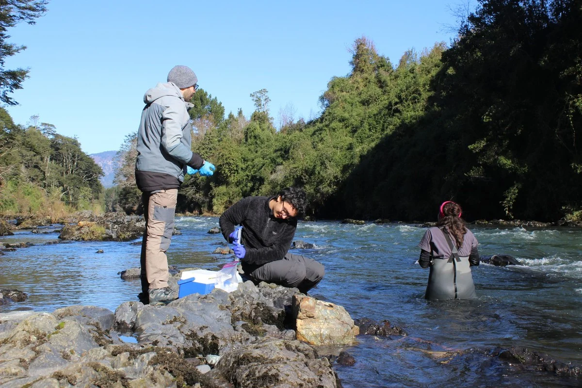 Zuid-Chileense vulkanen werken als CO2‑sponzen