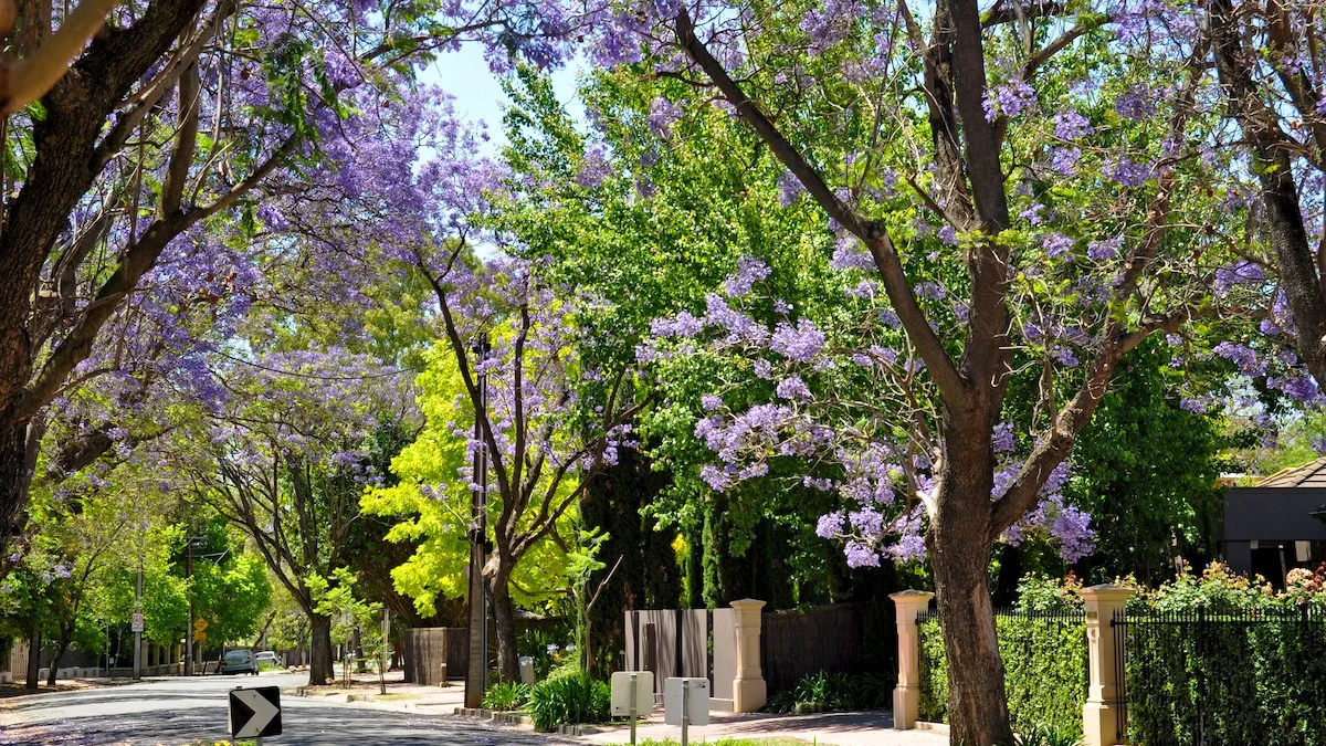 Waarom de langste dag van het jaar stiekem niet de heetste is