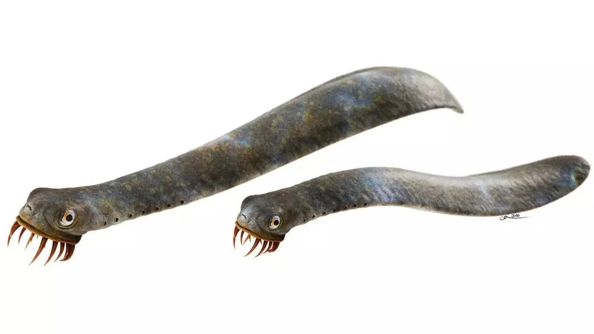 Het minuscule oerwezen met snijvlakken scherper dan staal