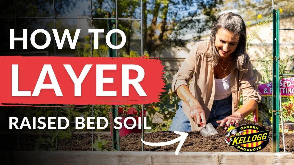 deochtendroutin-extra-2.webp De ochtendroutine die je batterij leegzuigt (en hoe je dat stopt) - image 2