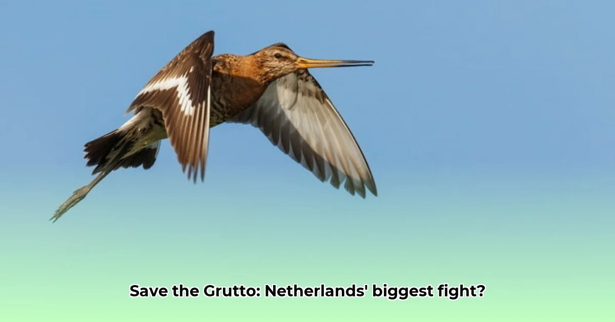 Waarom een klein zangvogeltje het opneemt tegen een zeeduiker en een veldmuis voor de titel 