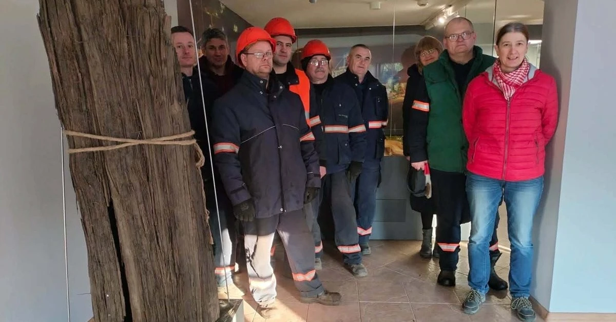 Ontdekking van 15 miljoen jaar oud versteend hout verandert ons beeld van de prehistorie