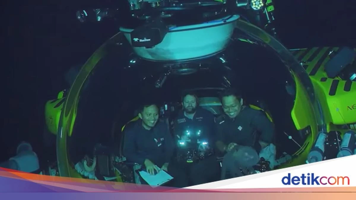 De 14 reuzen die wetenschappers ontdekten bij Sulawesi