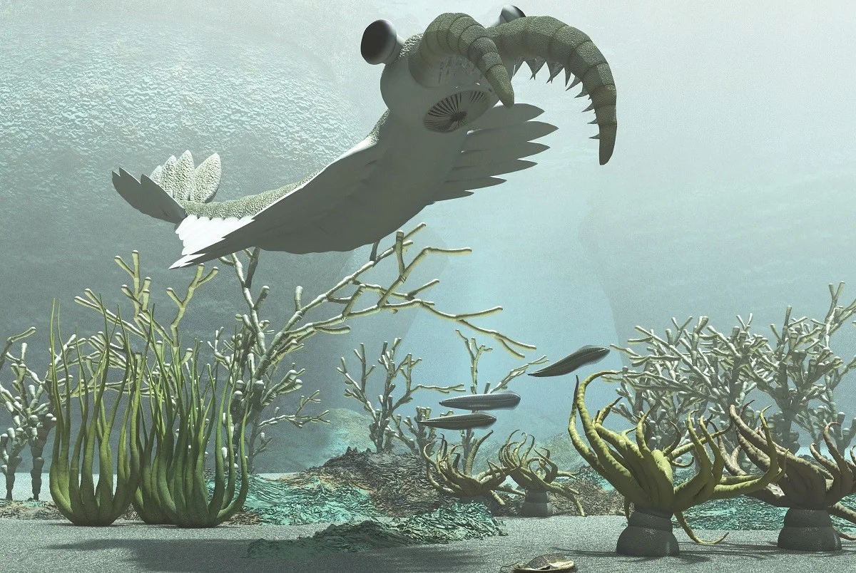 waaromwijallema-extra-1.webp Waarom wij allemaal letterlijk afstammen van een bacterie die