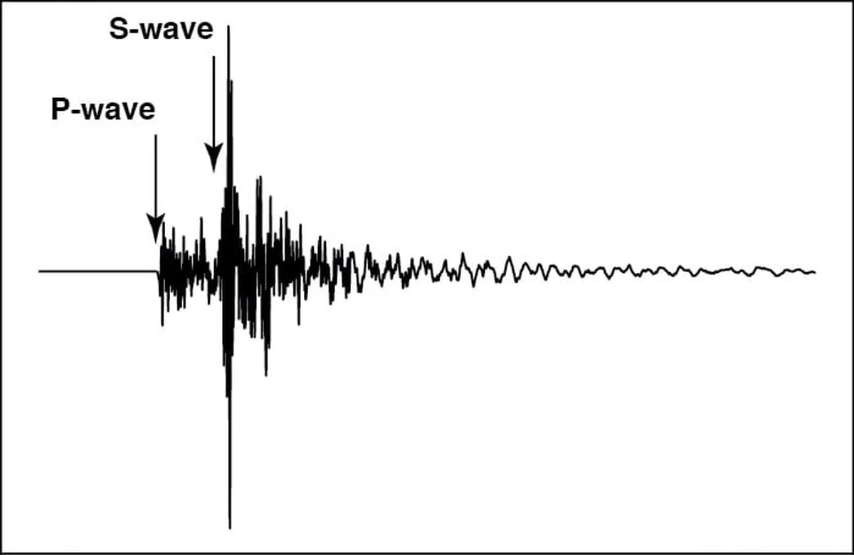 Deze bevingen voel je écht niet: wat de seismografen in de Romagna detecteerden - image 2