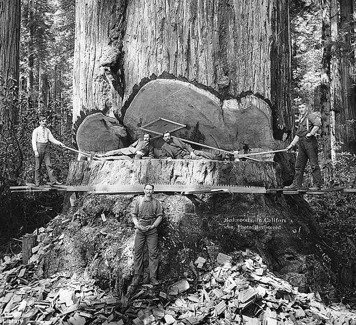 Waarom experts nu liever geen 