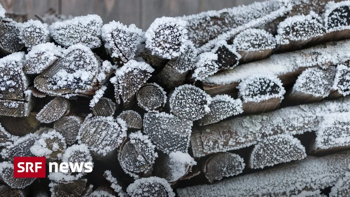 Waarom boeren nu méér angst hebben voor een zachte winter dan voor strenge vorst