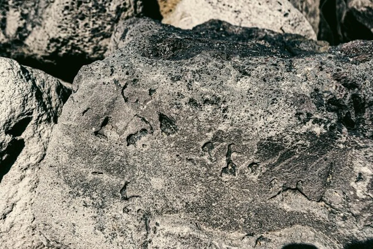 Zuid-Chileense vulkanen werken als CO2‑sponzen - image 2