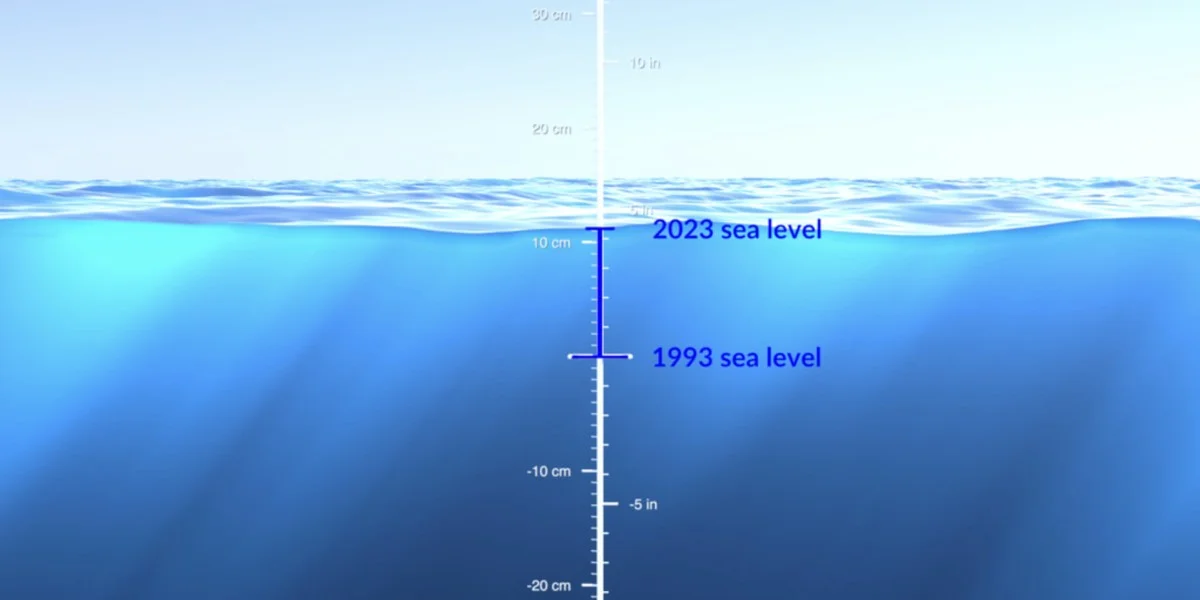 Wettere kustlijn: nieuw onderzoek toont aan dat zeespiegelstijging sneller gaat dan de overheid beweert - image 1