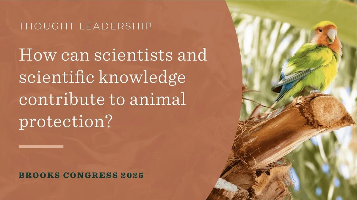 hoespaansestede-extra-2.webp Hoe Spaanse steden nu écht omgaan met stadsdieren dankzij nieuw onderzoeksinstituut - image 2