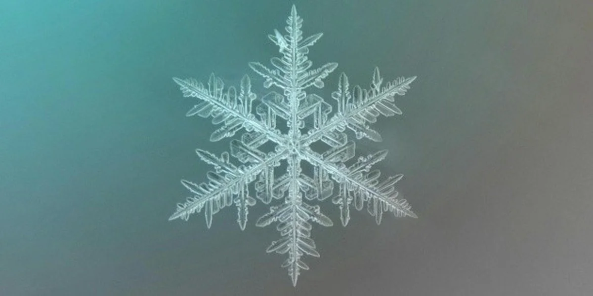 het precieze tijdstip waarop de winter écht begint (en wat dat betekent voor je energie)