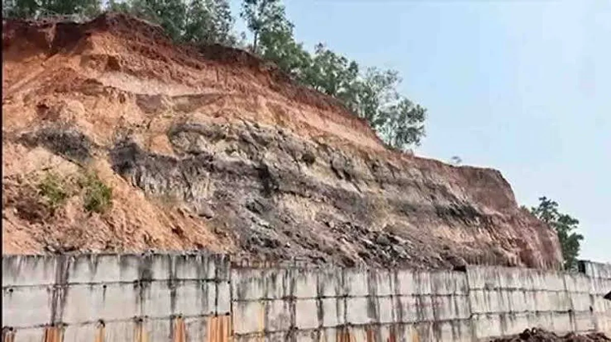 Onthulling van 2,5 miljoen jaar oude fossielen in Kerala: wat dit betekent voor onze geschiedenis