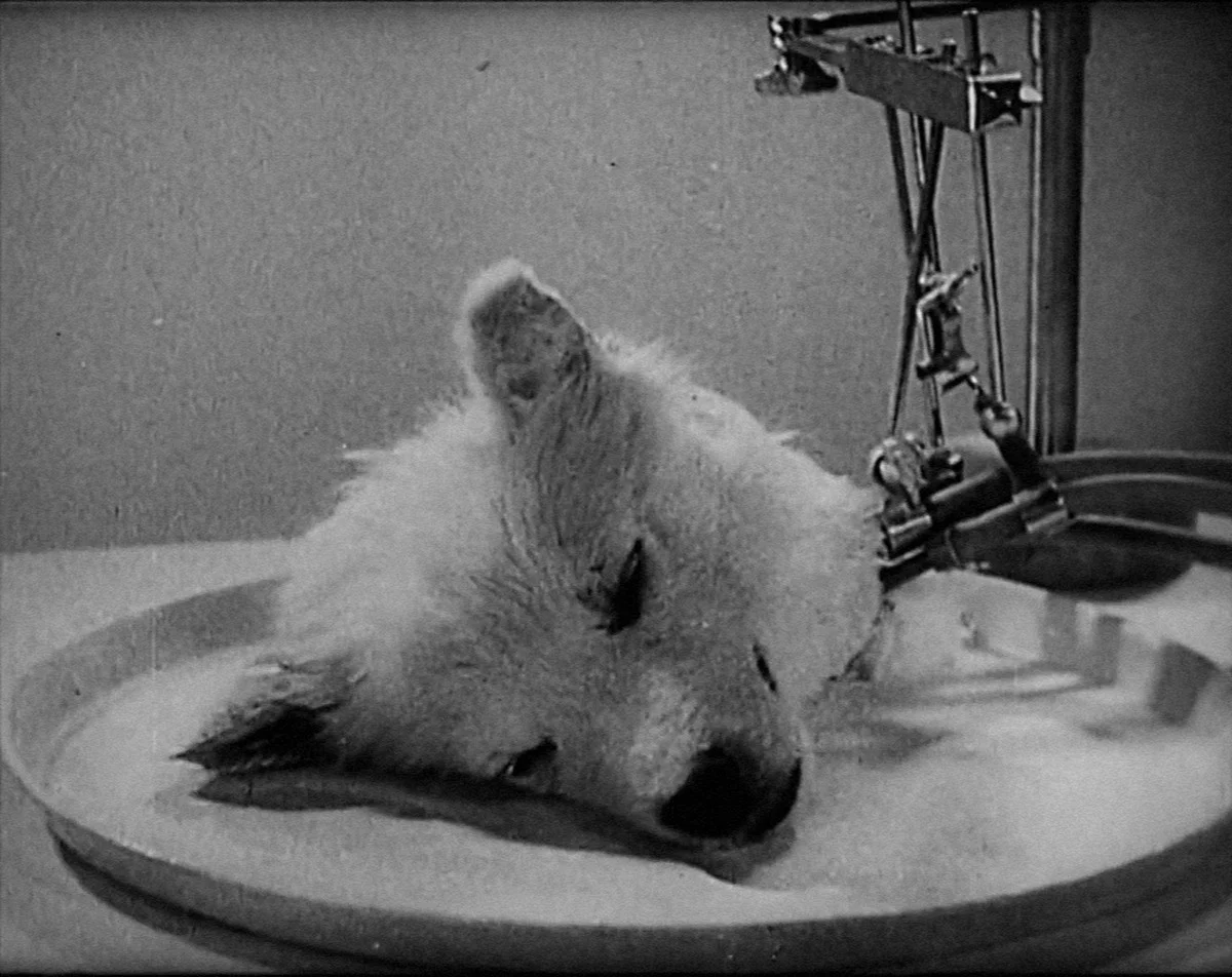 waaromervarenwe-extra-1.webp Waarom ervaren wetenschappers een lepel kaneel in hun koffie bewaren - image 1