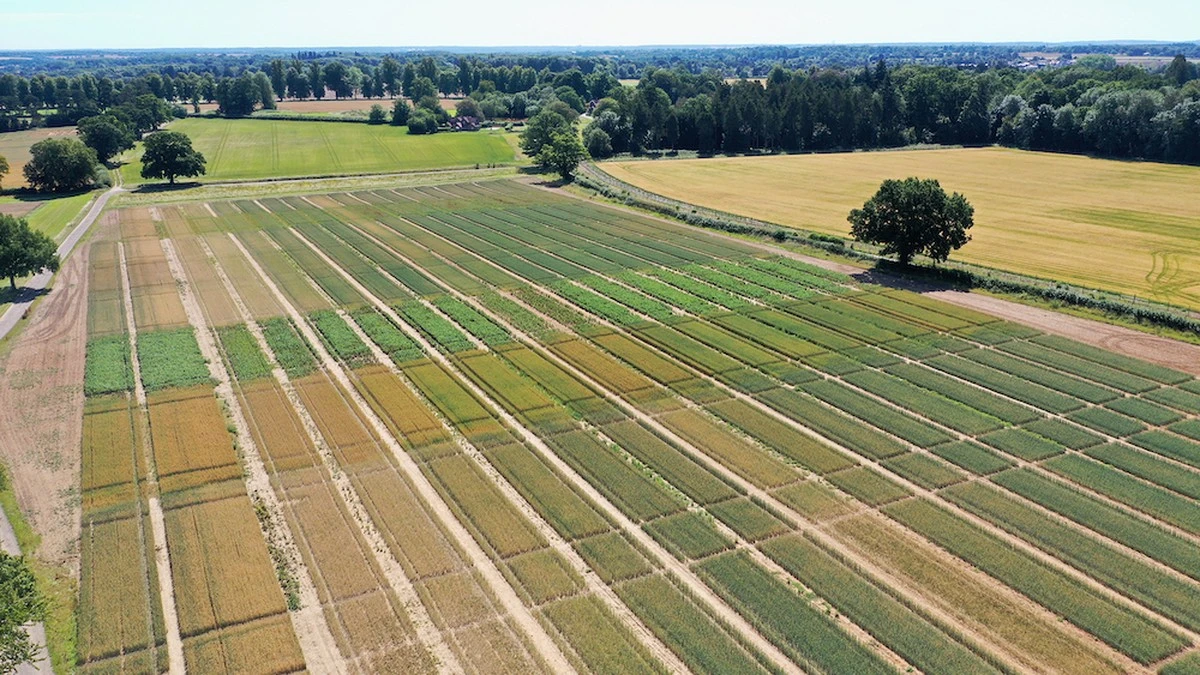 degeheimzinnige-extra-1.webp De geheimzinnige druppel die al 97 jaar valt: waarom deze teer zo traag beweegt - image 1