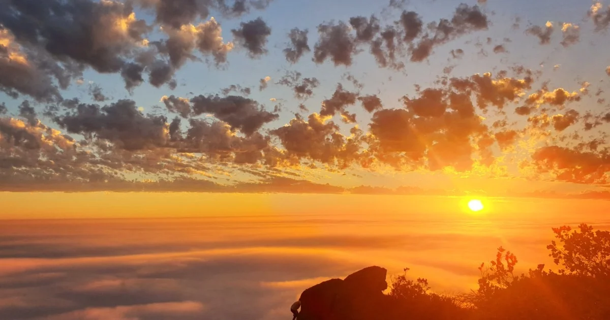 Waarom experts geloven dat schizofrenie en ADHD binnen 20 jaar fundamenteel anders behandeld worden