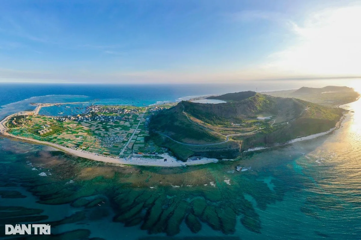 De 300-jarige vijgenboom van Lý Sơn is officieel een Vietnamese erfgoedboom - image 2